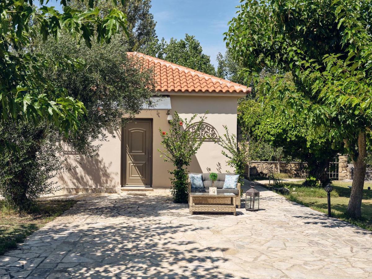 Villa Loukia'S House - Cozy Family Escape, By Zantewize Ammoudi Exterior foto
